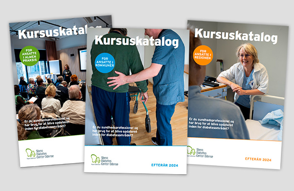 Ønsker du at bladre i et af vores kursuskataloger, så finder du dem også i en digital version.