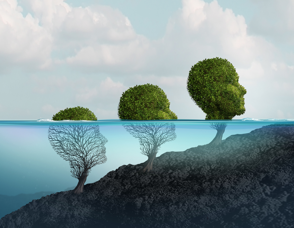 Træer som ansigter under, i og over vand