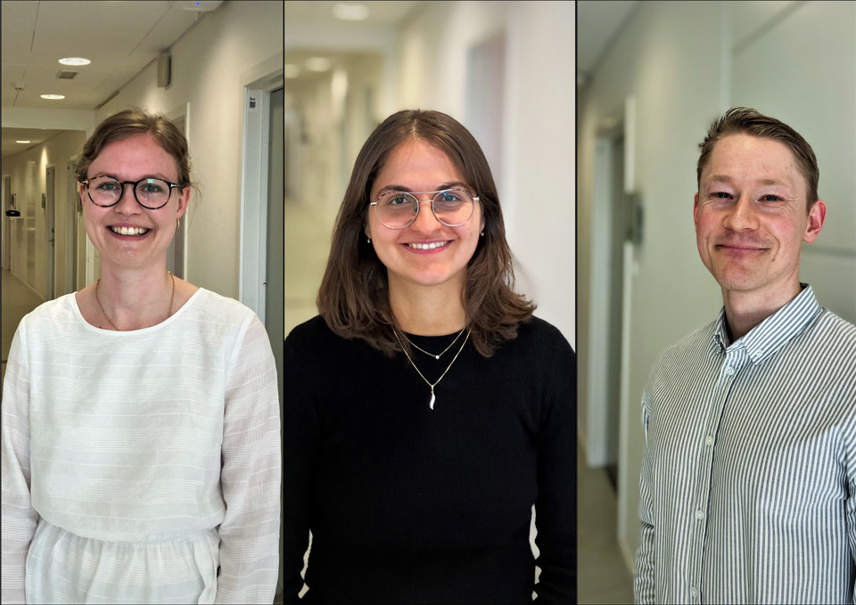 Louise Jessen, Hanin Harbi og Tobias Windedal er de tre seneste modtagere af SDCO's lokale grant til ph.d.-studerende. Privatfotos